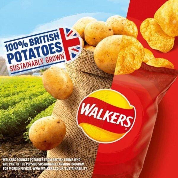 Giant Crisps Multipack Snack Box - Box of 66 x 25g Assorted Classic Walkers Crisps with 6 EXTRA 25g Bags 3 x Chicken & 3 x Tomato.72 TOTAL Bags of Potato Snacks for Birthday Party, Pub Snacks - Image 3